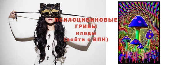 МДПВ Белокуриха