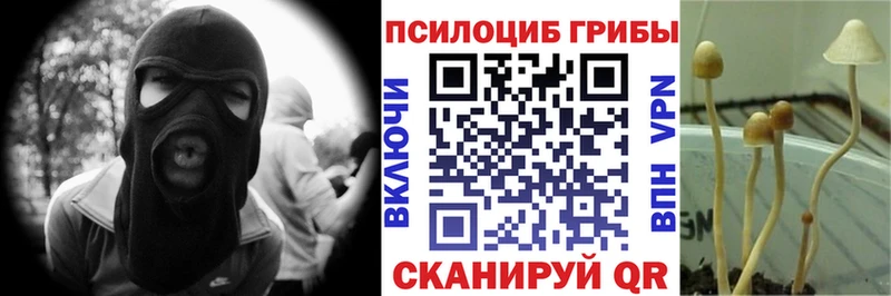 Галлюциногенные грибы MAGIC MUSHROOMS  Котовск 